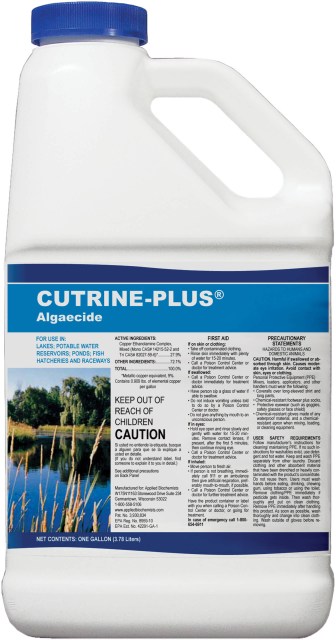 Cutrine-Plus Liquid CPL 1 Gal - L00120